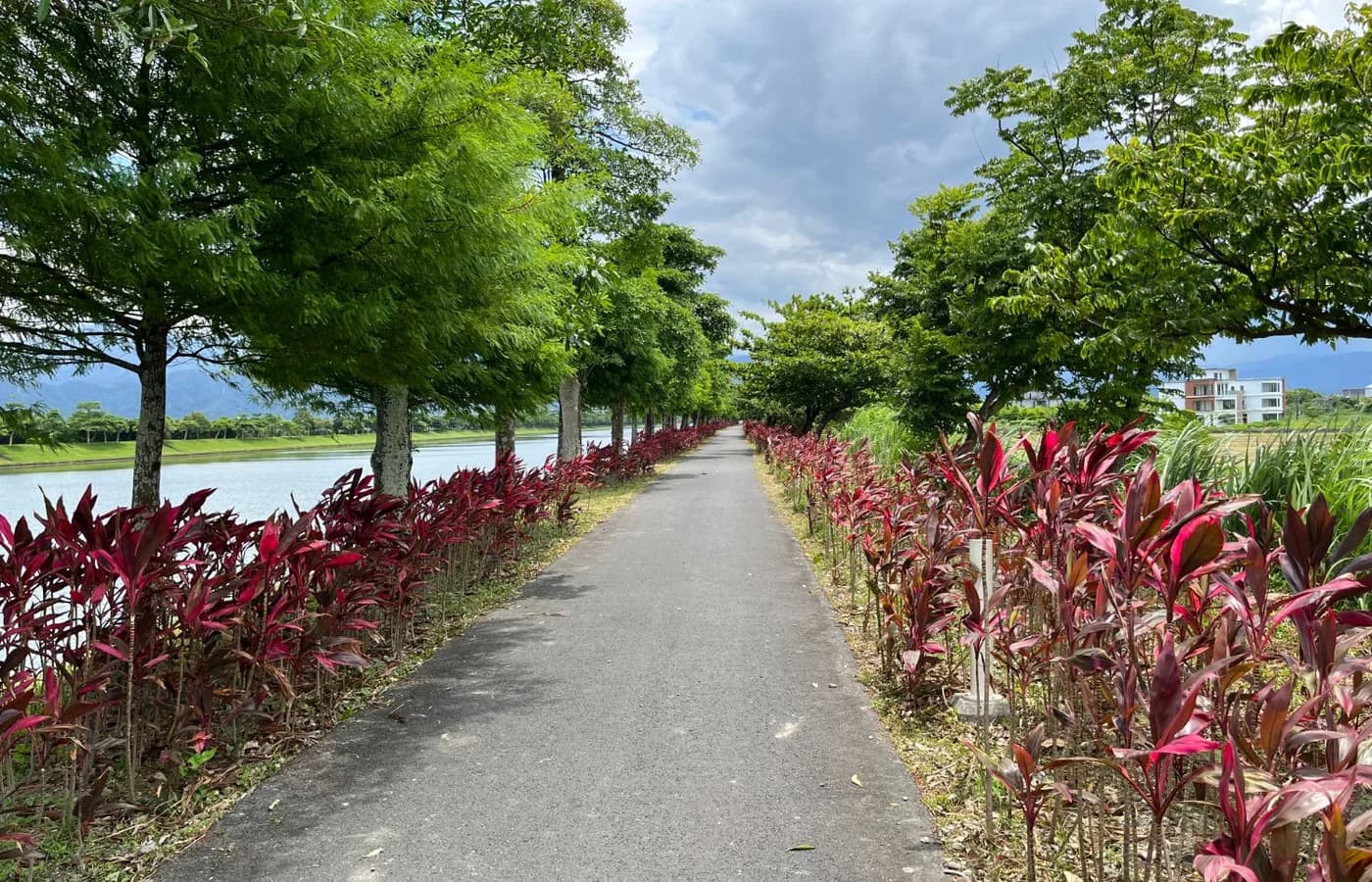 Ruta ciclista del río Dongshan｜24 km, alquiler de bicicletas, duración y opciones familiares — Dongshan River Bike Trail