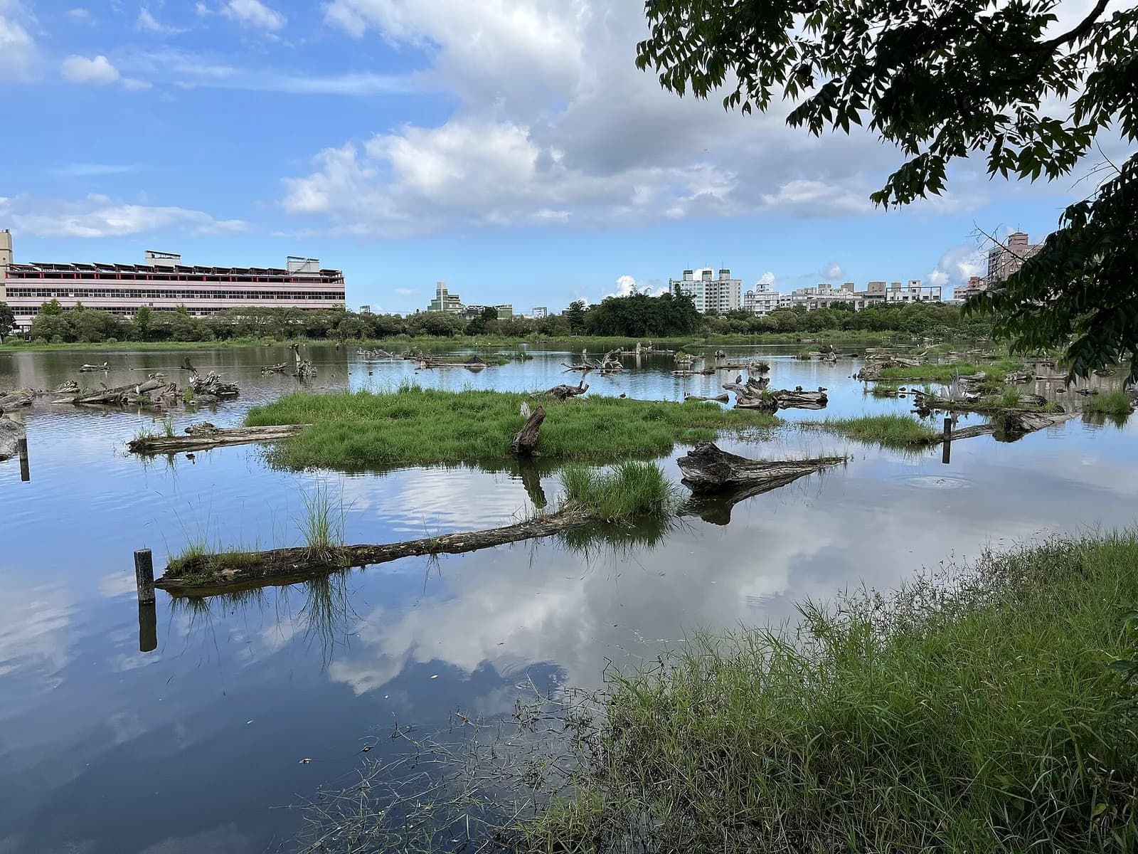 Ảnh thực tế 羅東林業文化園區：Hồ chứa gỗ và bệ dỡ gỗ
