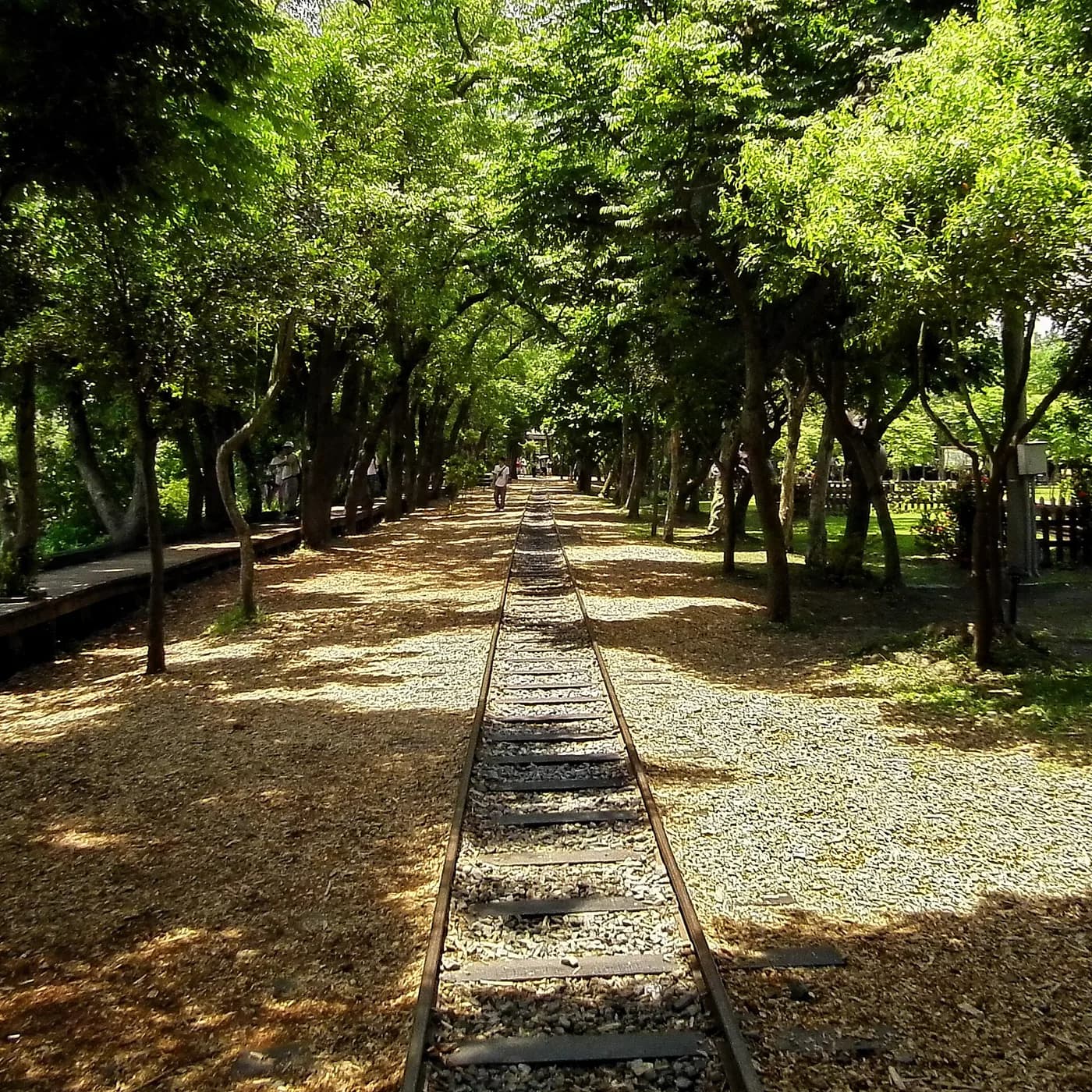 Ảnh thực tế 羅東林業文化園區：Đầu máy hơi nước và đường ray cũ