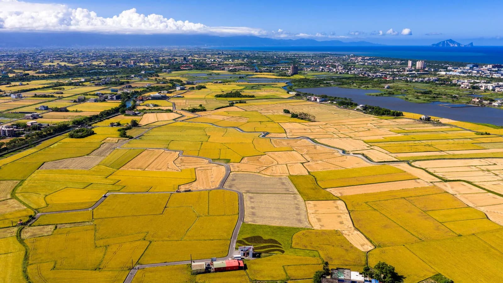 Amtliches Standortfoto aus Yilan: Grüne Reisfelder · Feldkunst von oben