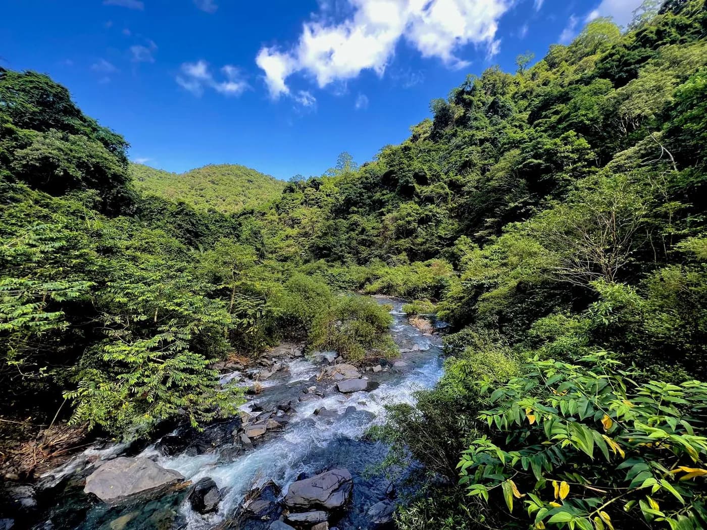 Official on-site Xinliao Waterfall Trail photograph：Stream birds