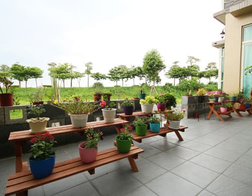 Panlabas na terasa at mga halamang nasa paso sa Water Edge Garden Homestay