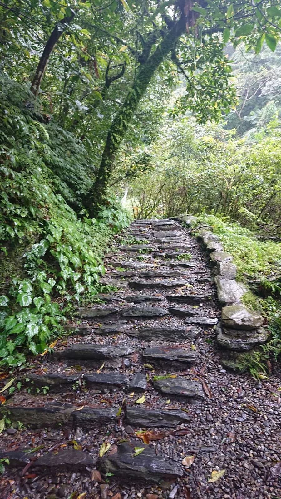 Basang hagdang bato lampas sa unang Xinliao Waterfall