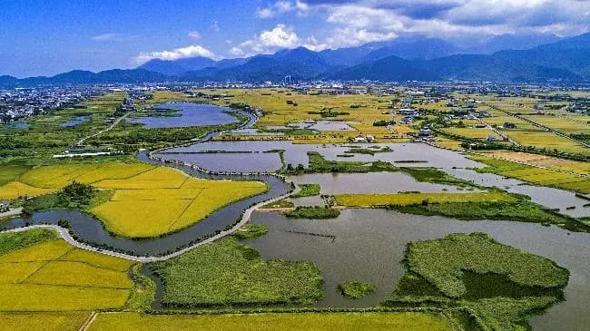 Pemandangan tanah lembap Wushierjia